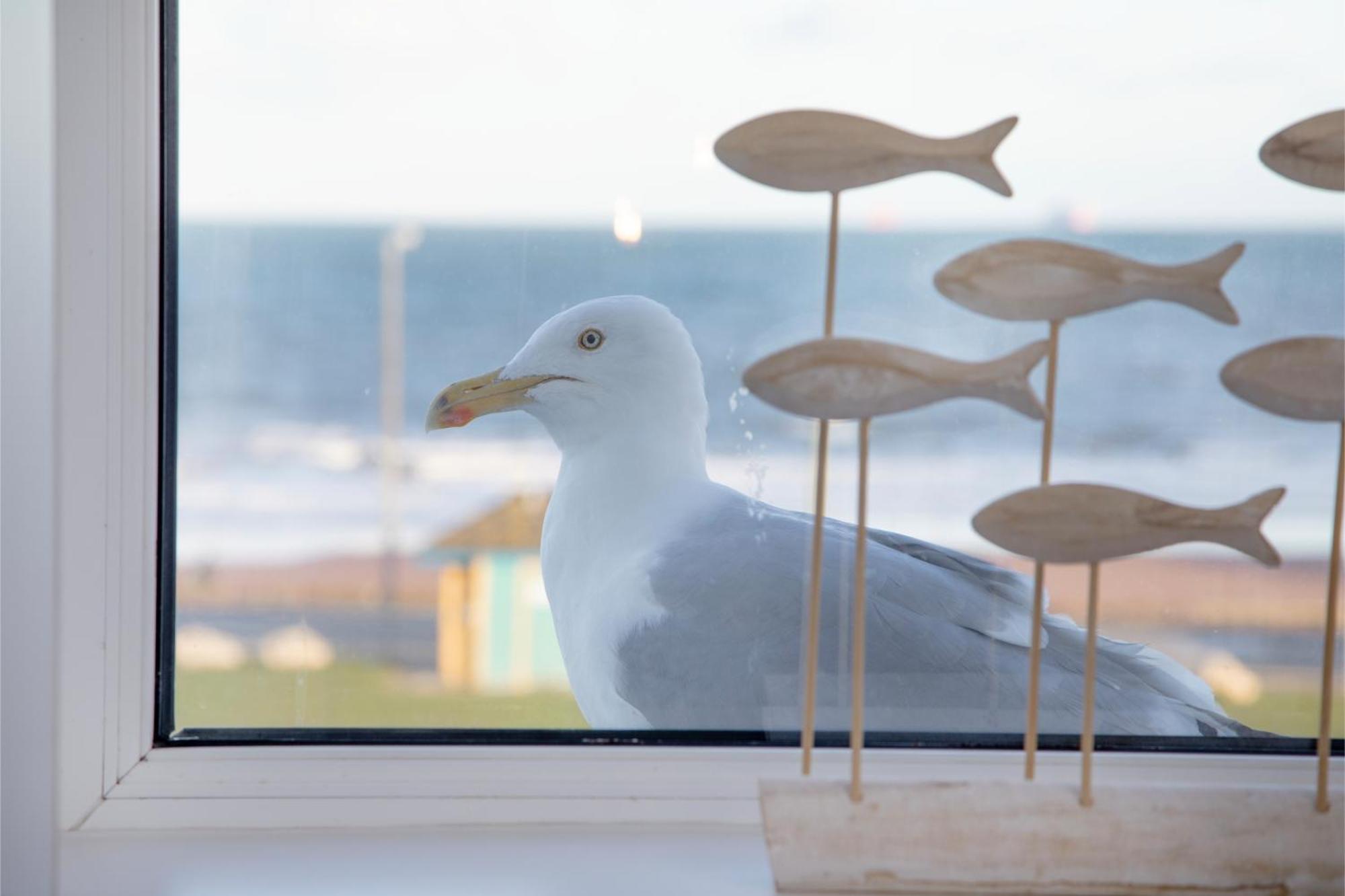 Sunnybeach Holiday Apartments ペイントン エクステリア 写真